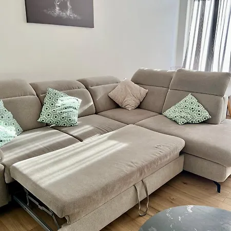 The Cozy 293