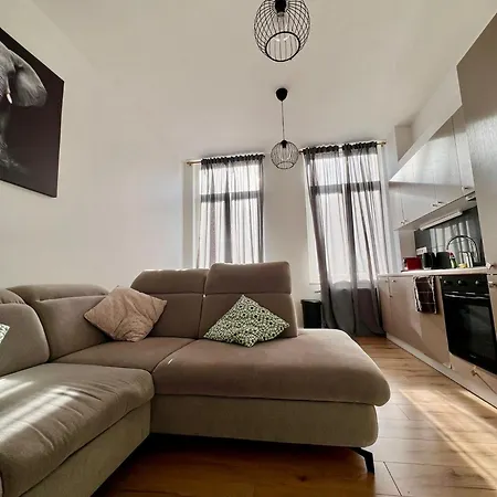 The Cozy 293 *