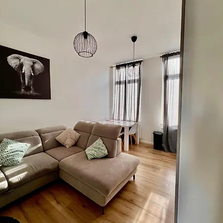 The Cozy 293